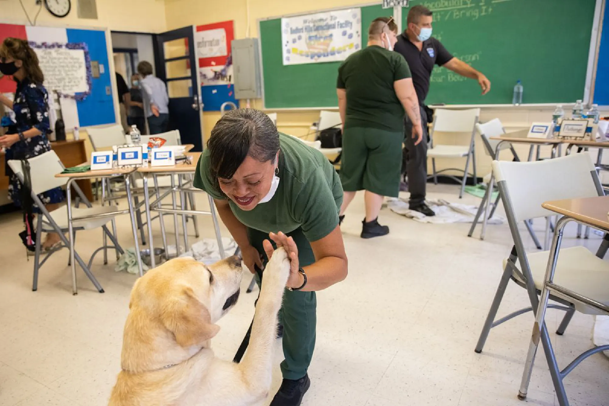 With stress on officers spiking, New York joins wave of police agencies using therapy dogs