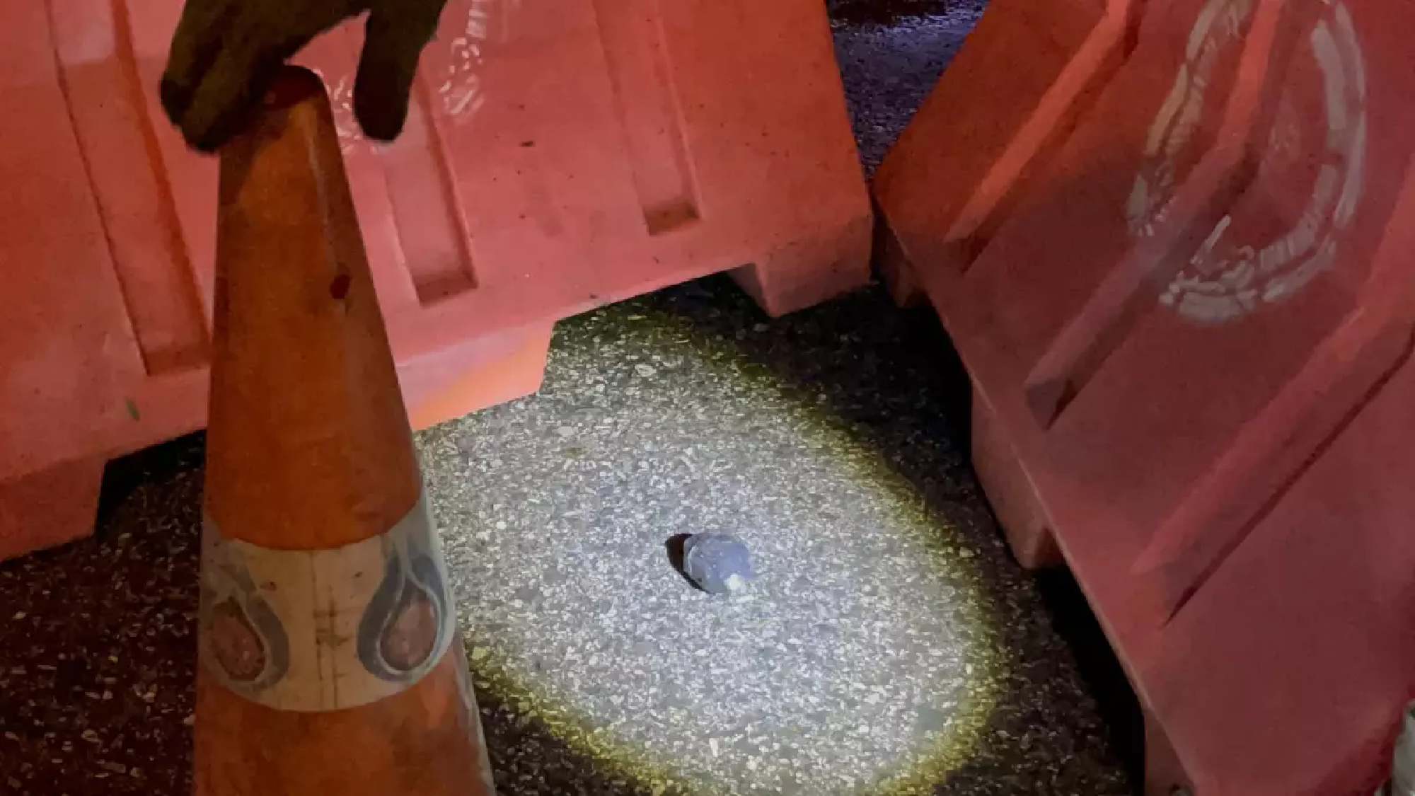 Thalu Fah protesters clash with police at Tuesday rally