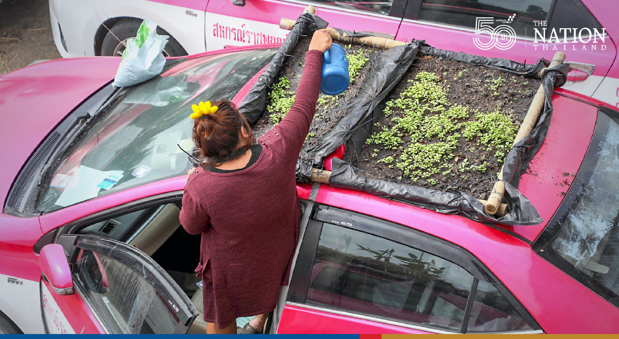 The cabs now sport veggies like chilli, holy basil, eggplant and spring onions. 