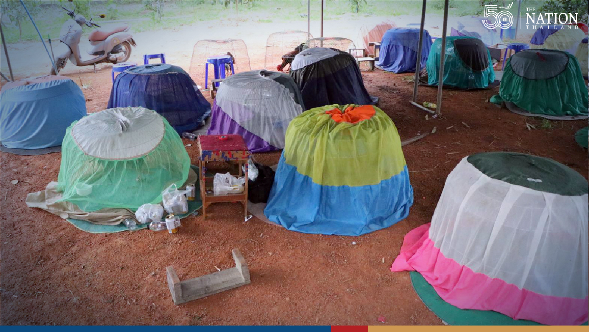 10 gamblers arrested in raid on Phatthalung cockfighting stadium