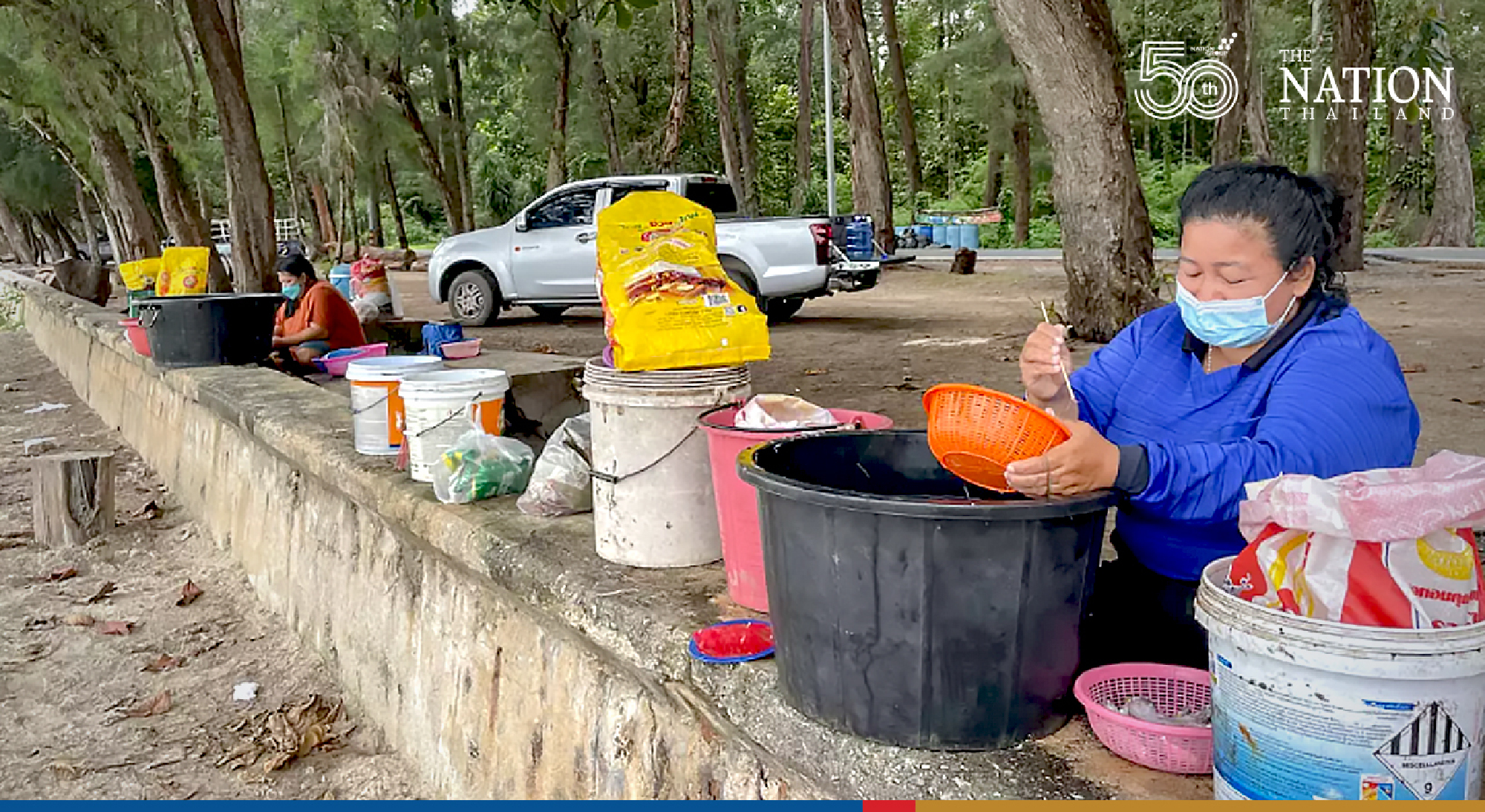Rayong beach comes alive with krill fishing