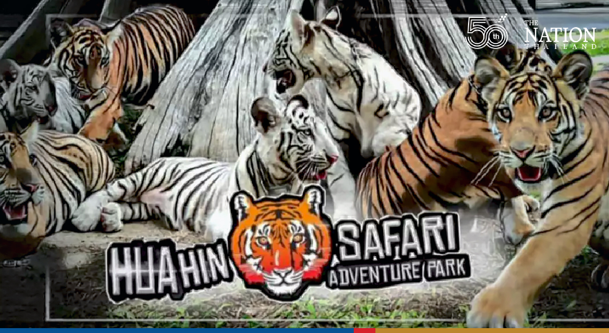 Hua Hin zoo to be closed for 15 days as staffers contract Covid