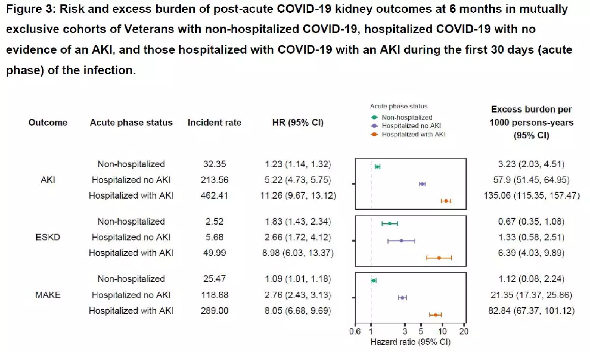 Recovered Covid-19 patients urged to go for regular kidney checkups