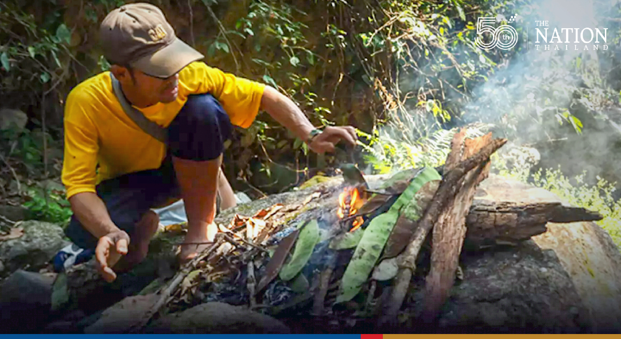 New species of tree discovered in Mae Hong Son