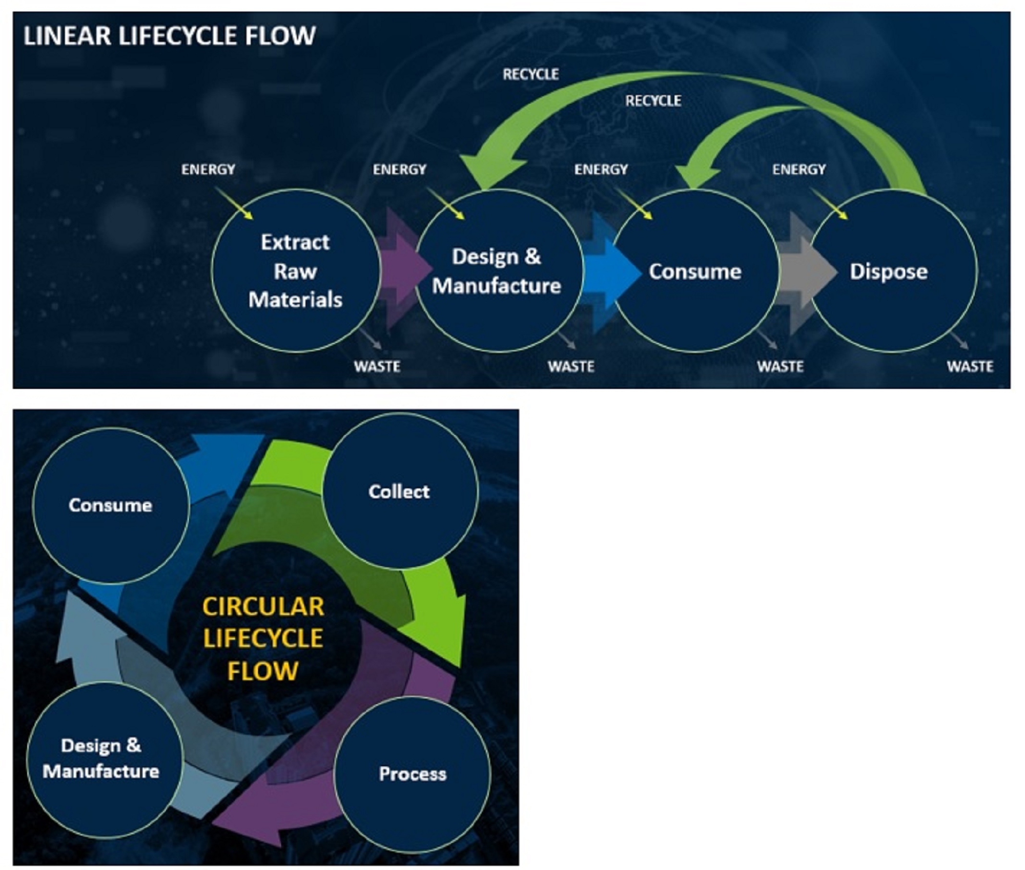 People, Planet, Profit: Recycling Solutions with Digitalization