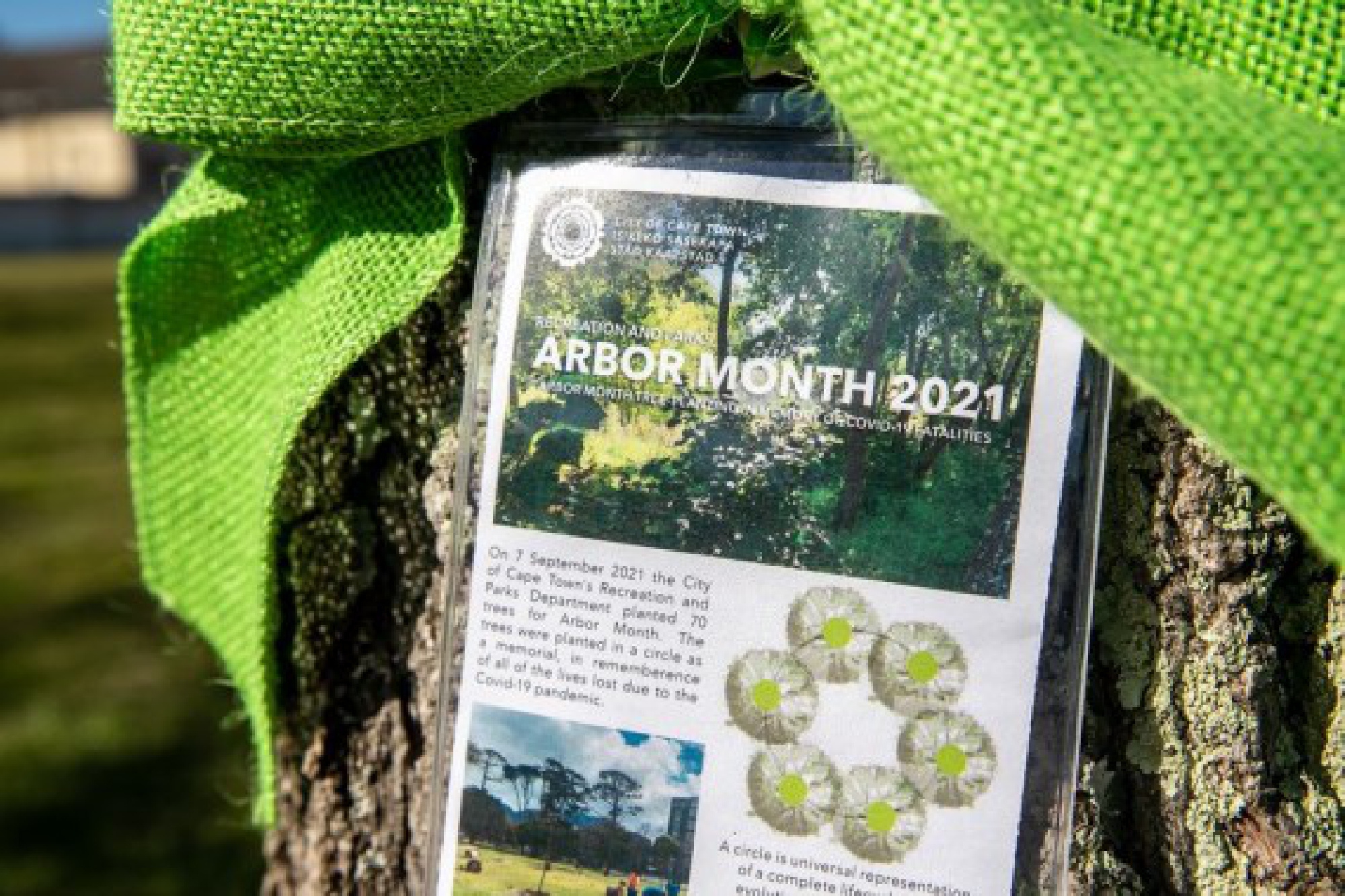 Photo taken on Sept. 8, 2021 shows a tag about trees planted at a memorial garden dedicated to those who lost their lives due to the COVID-19 pandemic in Cape Town, South Africa. 