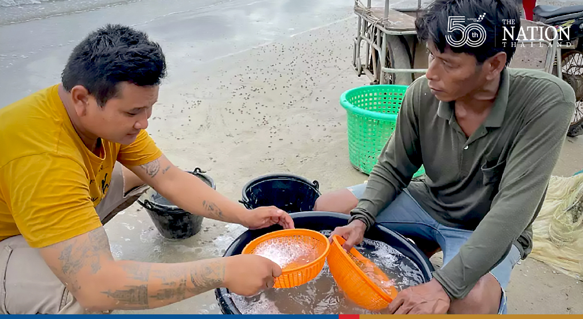 Rayong beach comes alive with krill fishing