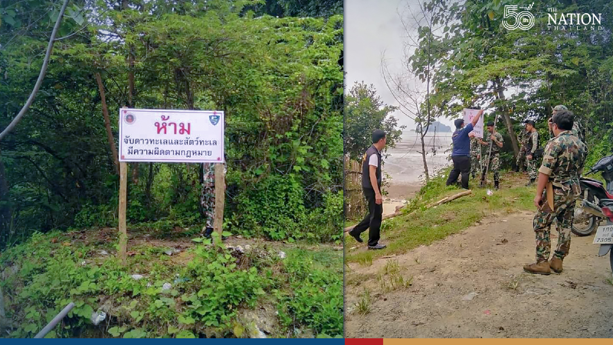 Tourists warned not to catch starfish, marine life for photos