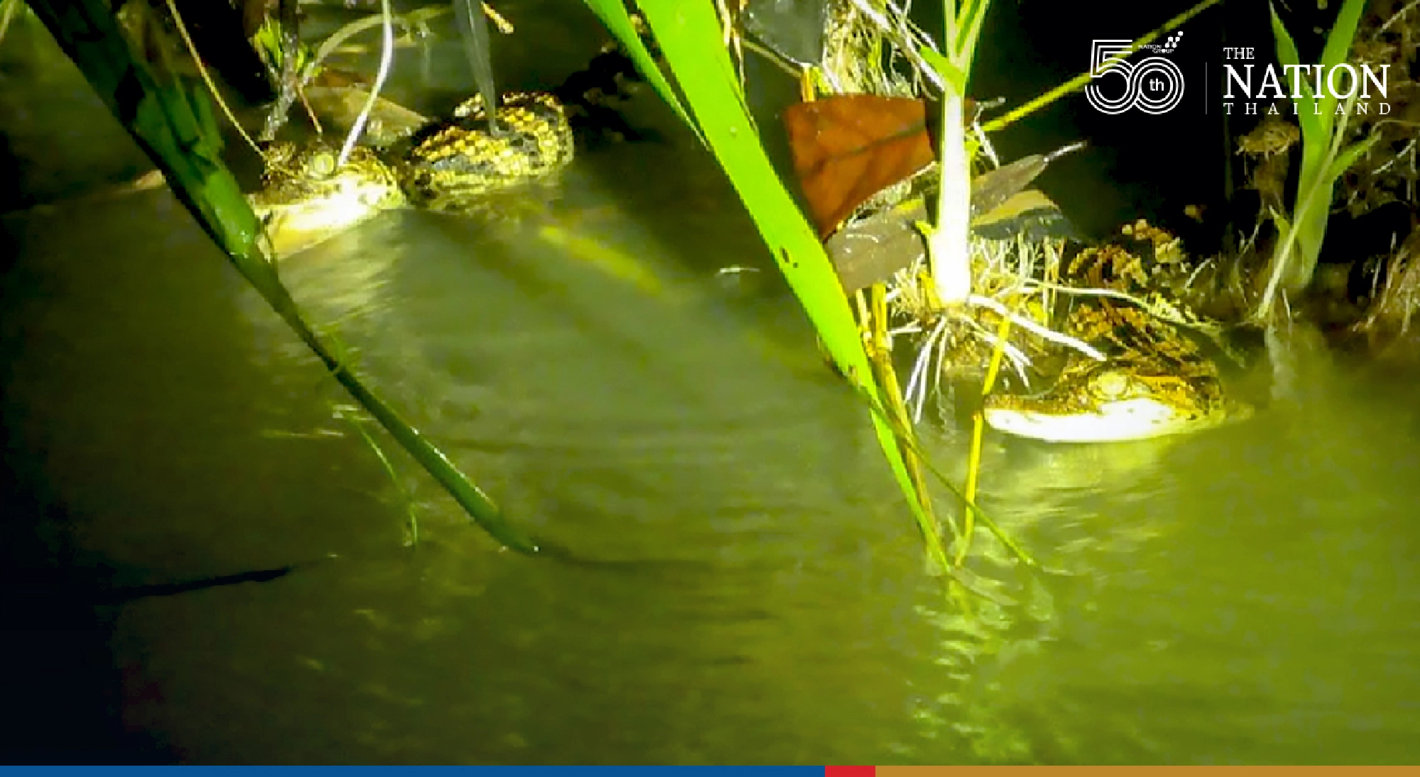 Photo Credit: Srepok Wildlife Sanctuary