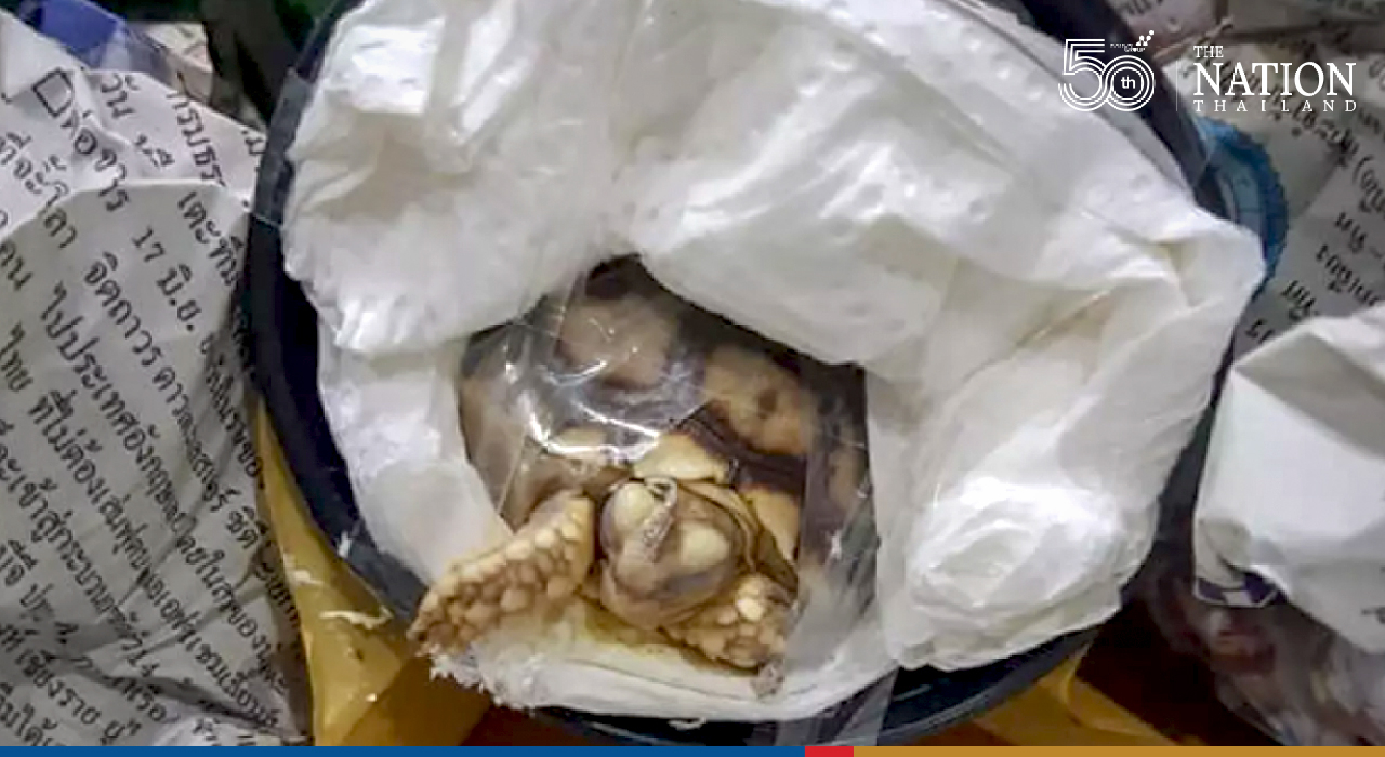 FB user lashes out at parcel shipping of living animals