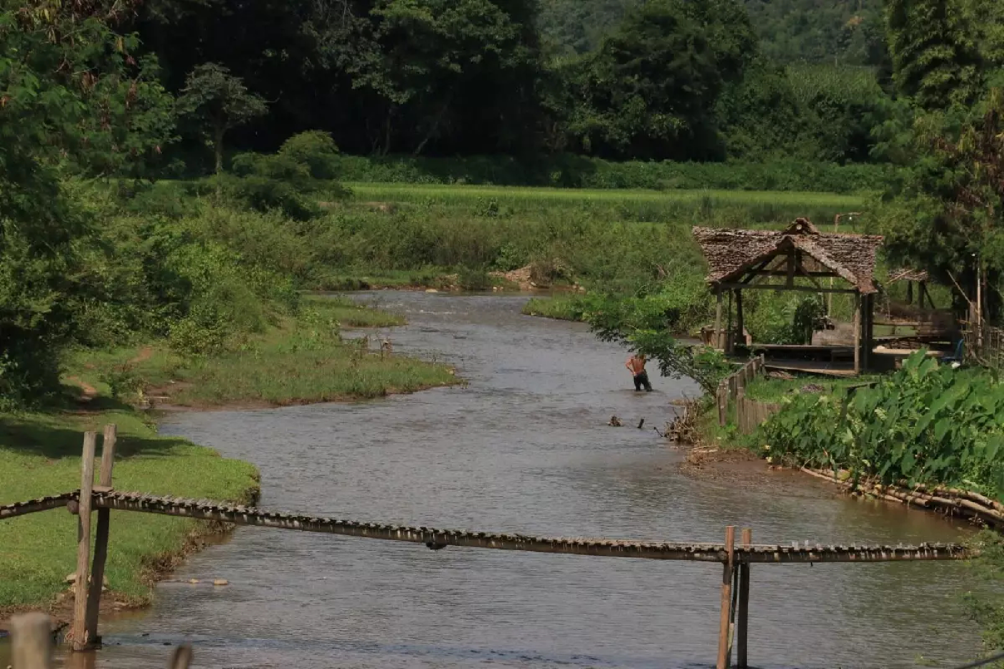 Unesco declares Chiang Mai’s Doi Chiang Dao as new biosphere reserve