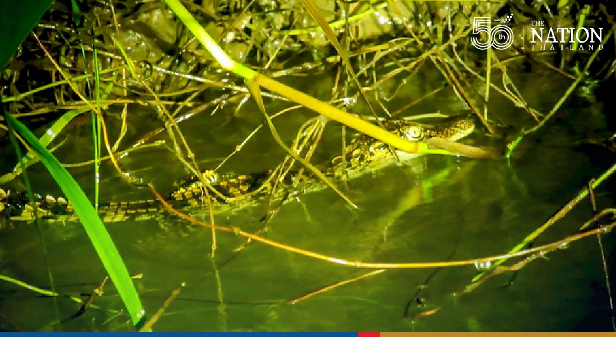 Photo Credit: Srepok Wildlife Sanctuary