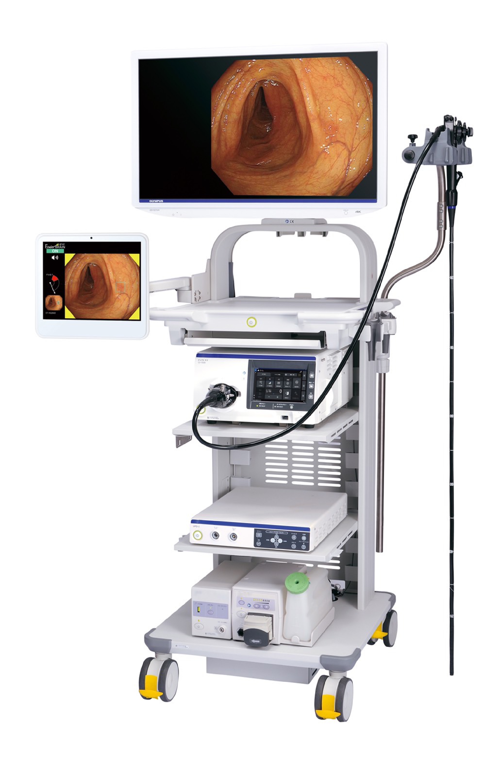 Paying attention to your body and symptoms can help keep cancer at bay