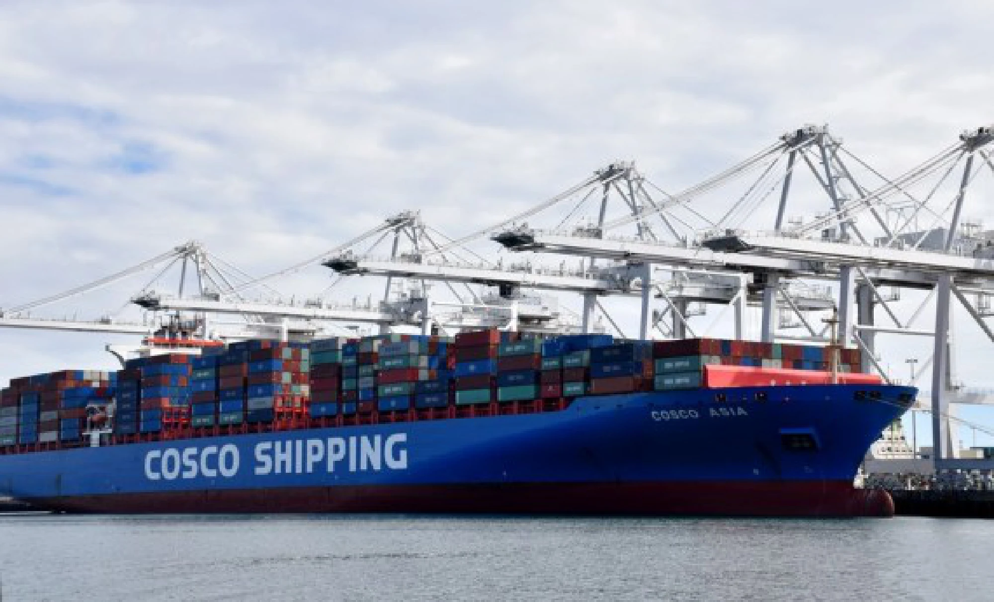 Containers of China COSCO Shipping Corporation Limited are seen at the Port of Long Beach in Los Angeles County, the United States, Feb. 27, 2019. (Xinhua/Li Ying)