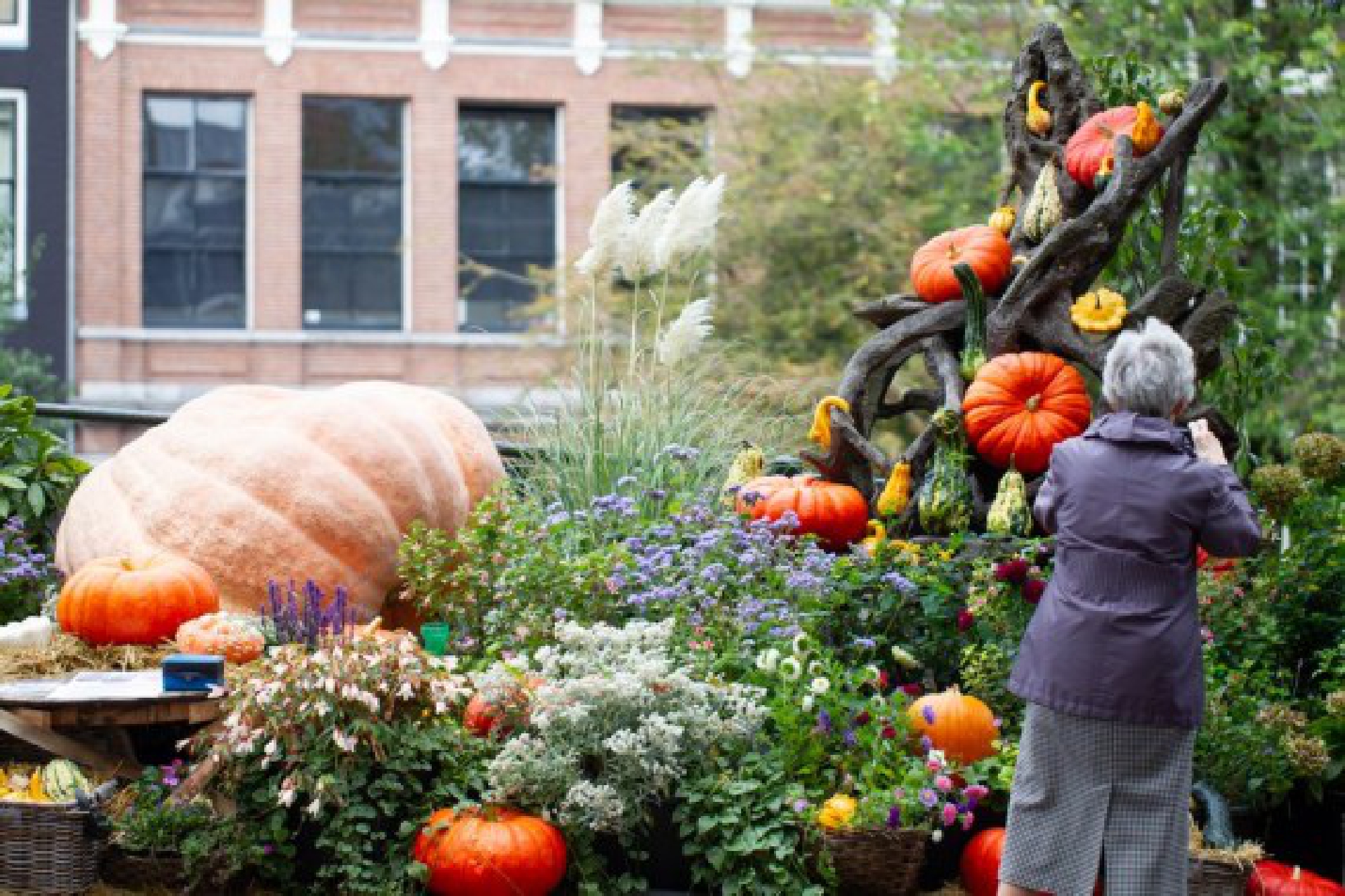 A woman takes pictures of a neighborhood garden with 80 pumpkins in central Amsterdam, the Netherlands, Oct. 16, 2021. (Photo by Sylvia Lederer/Xinhua)