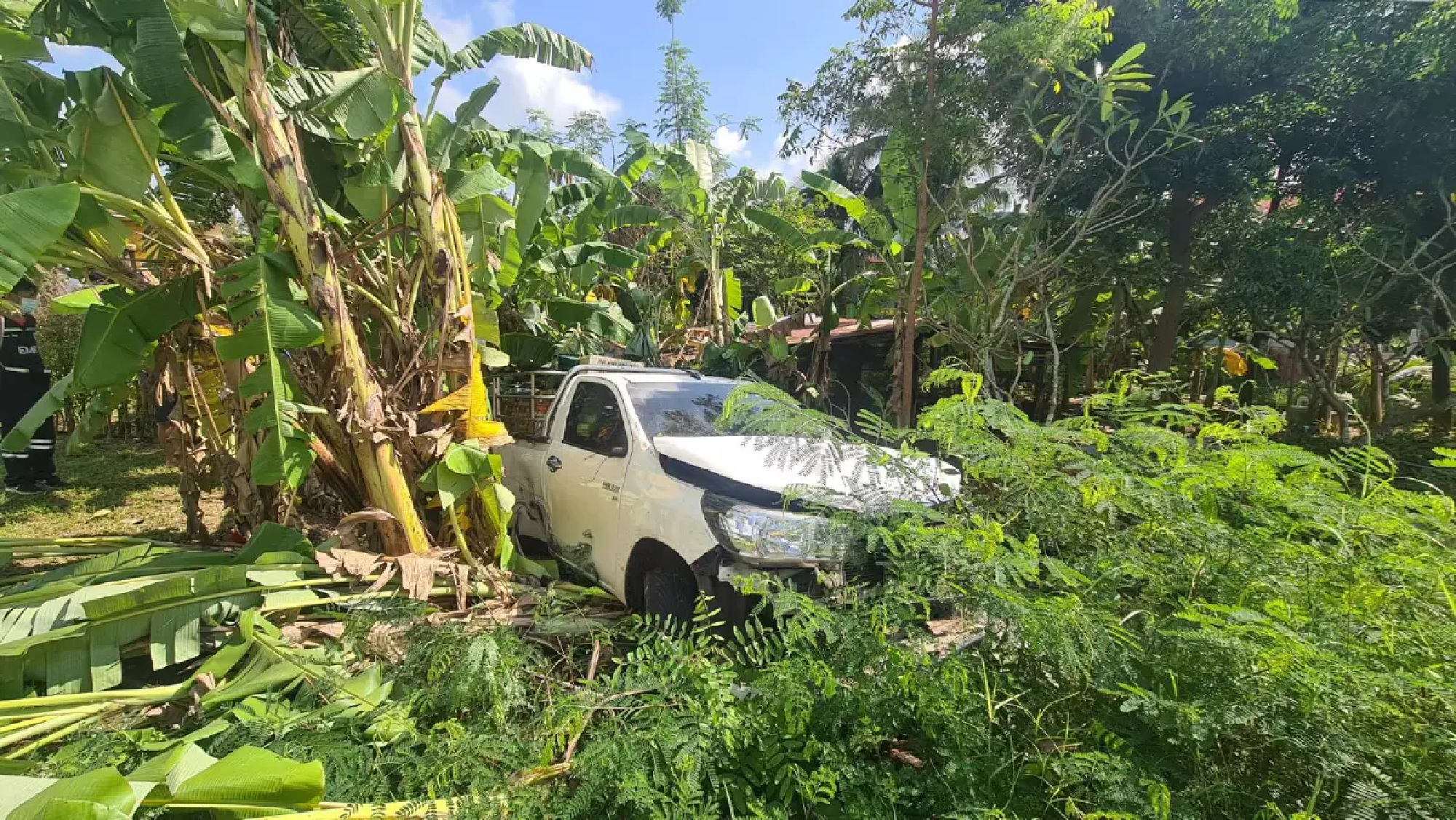 44 macaques saved from the dinner table in Sa Kaeo