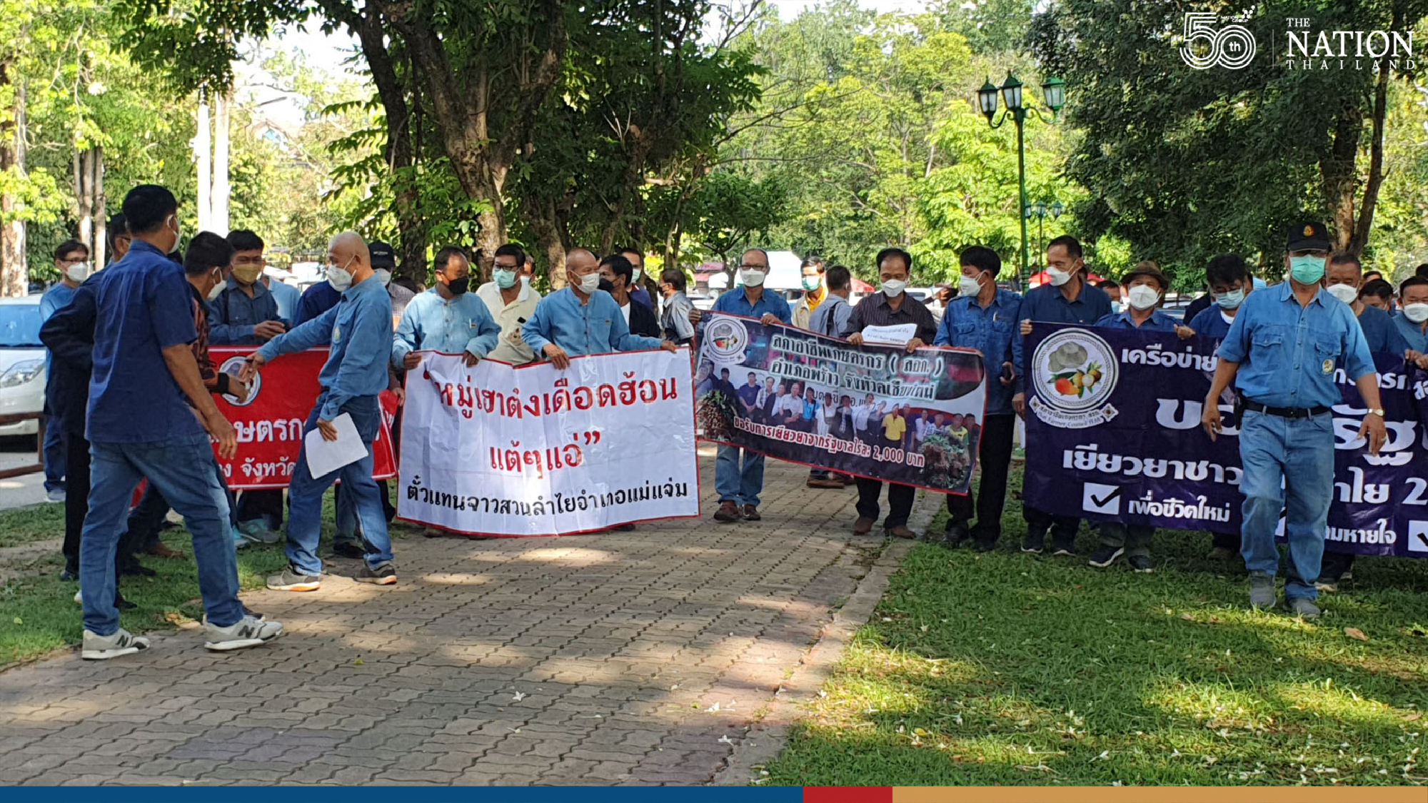 Soured by loss in earnings, longan farmers demand compensation