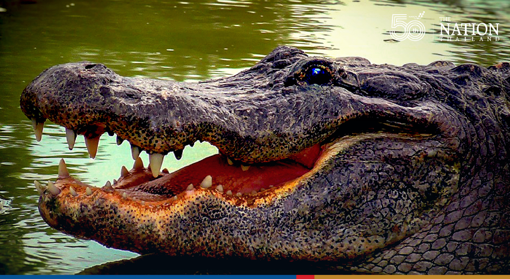 Transporting dead Covid-19 patients a tough task as Nakhon Ratchasima hospital flooded