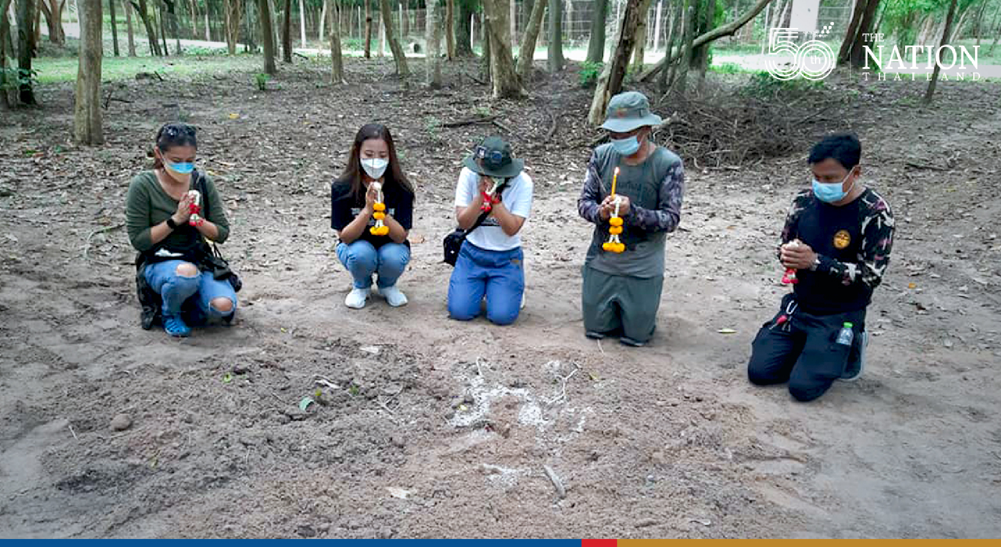 Young elephant dies on Prachin Buri road after being hit by two careless drivers