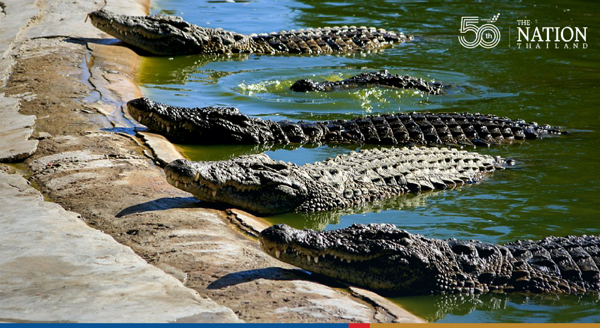 Transporting dead Covid-19 patients a tough task as Nakhon Ratchasima hospital flooded
