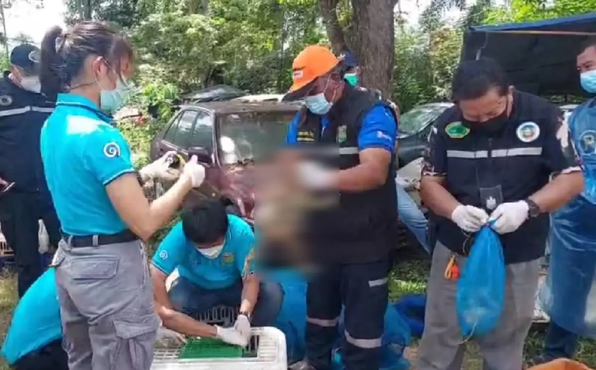 44 macaques saved from the dinner table in Sa Kaeo