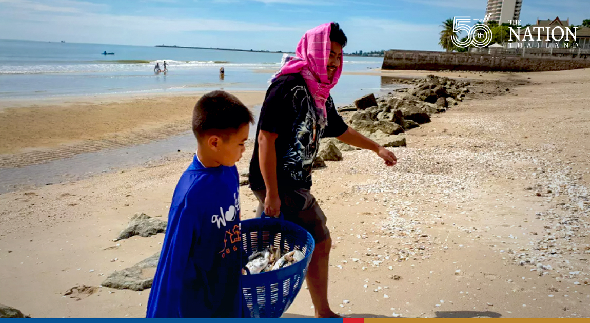 Aquatic animals washed ashore