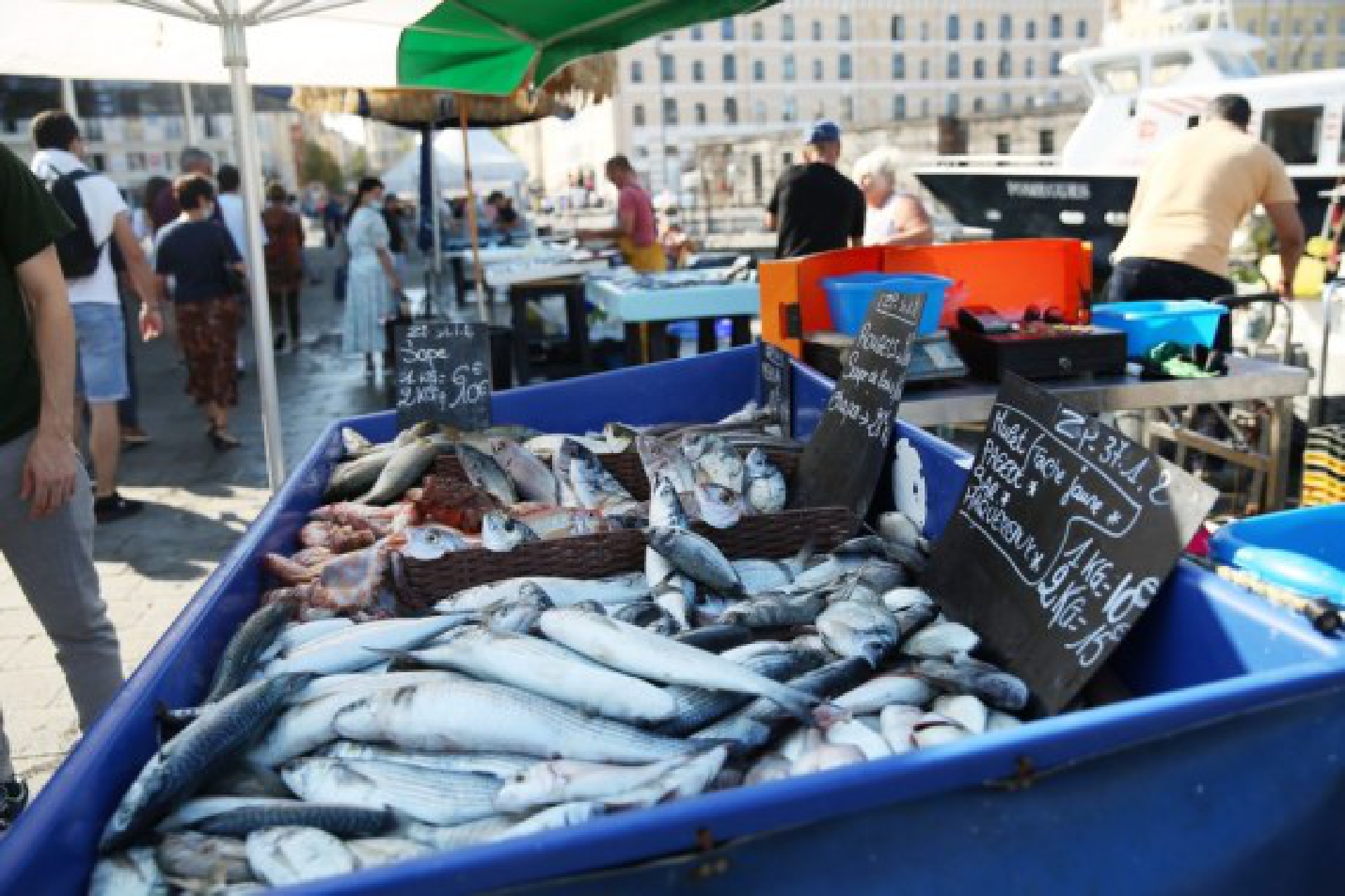 Fresh fish are seen at a fish market of the old port in Marseille, France, Sept. 6, 2021. (Xinhua/Gao Jing)