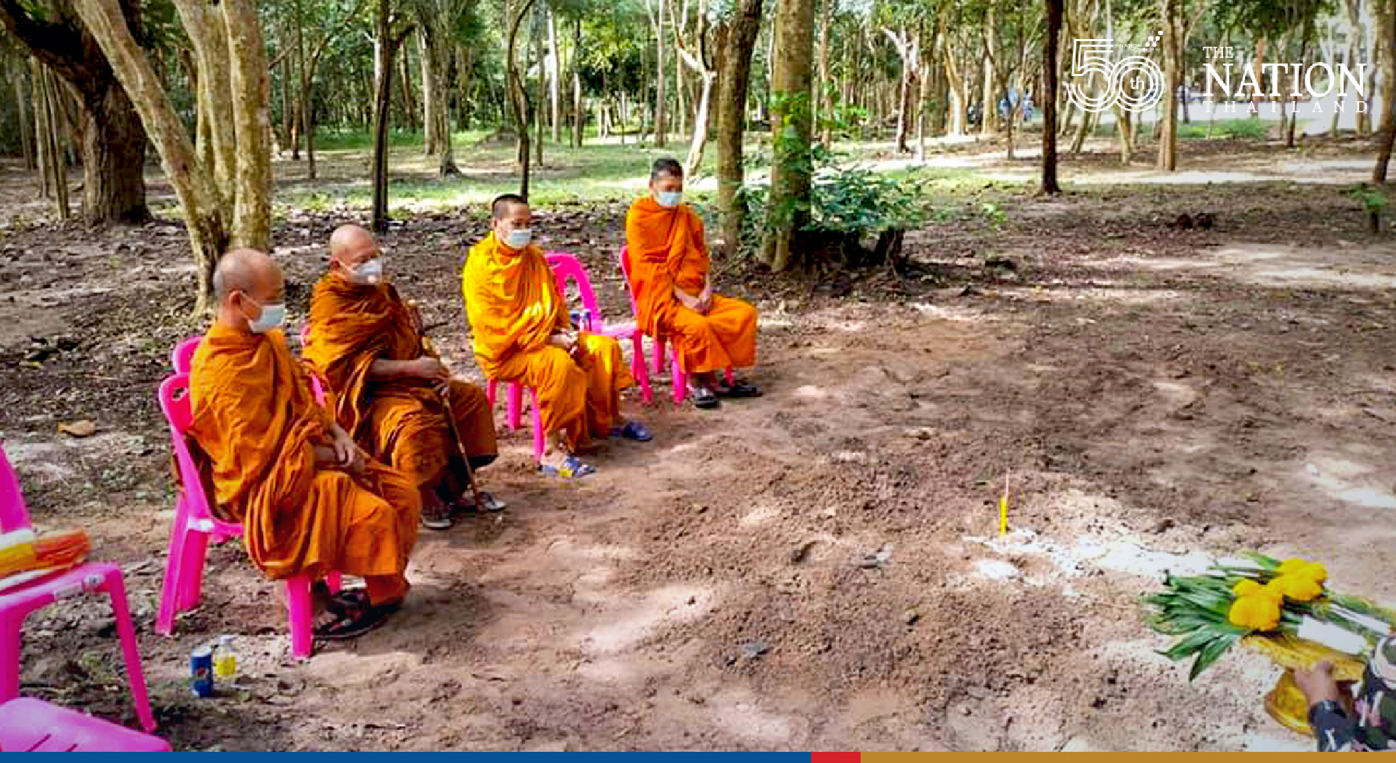 Young elephant dies on Prachin Buri road after being hit by two careless drivers
