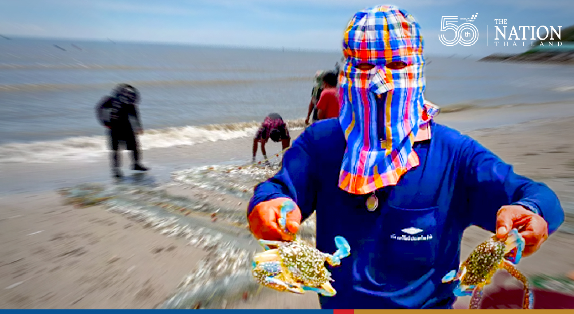 Aquatic animals washed ashore
