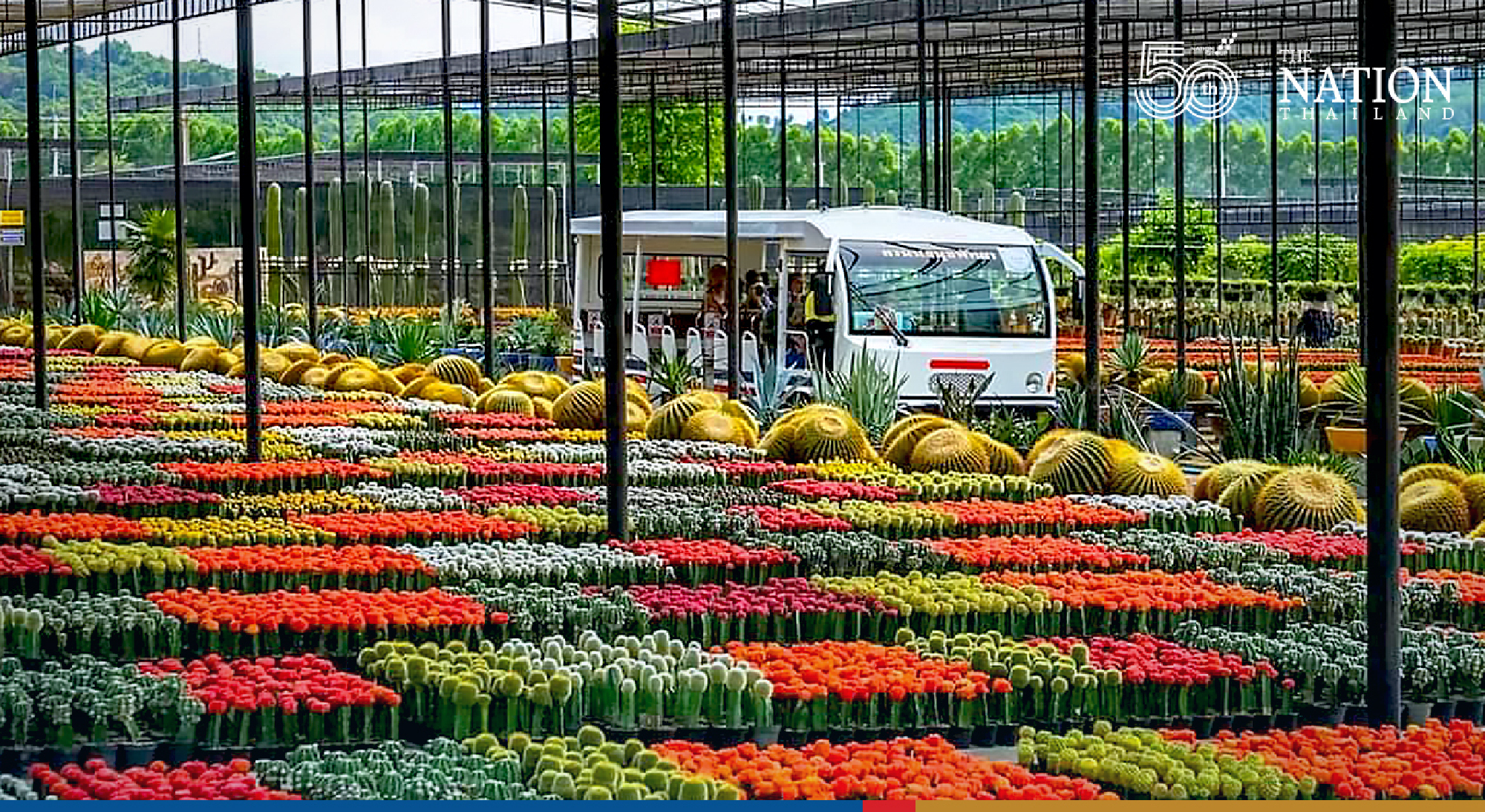 Cuban envoy checks out world’s most beautiful palm at Nongnooch
