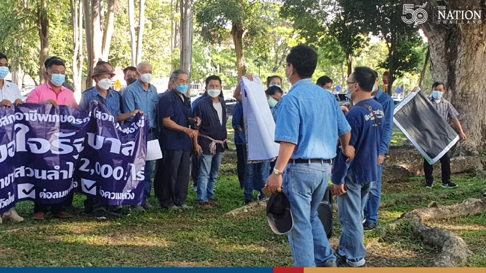 Soured by loss in earnings, longan farmers demand compensation