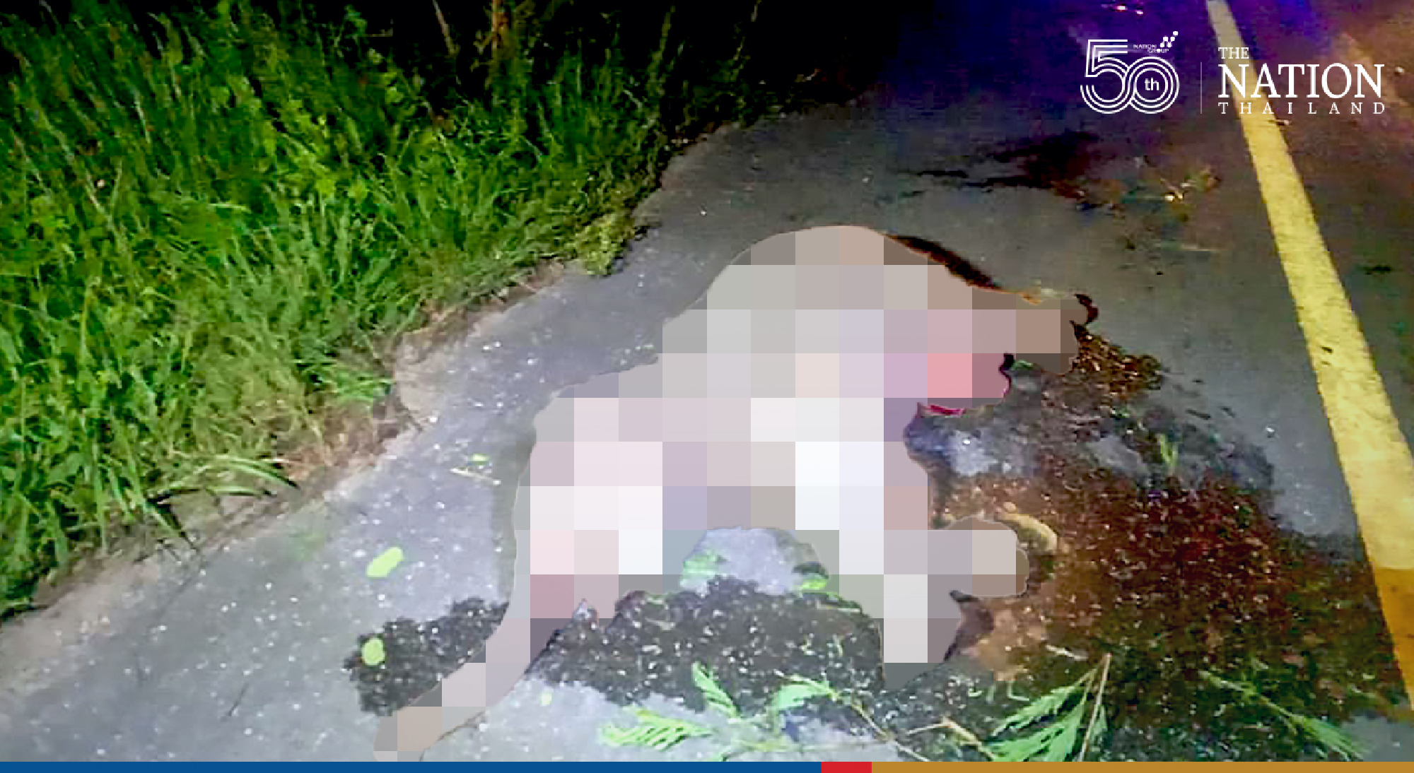 Young elephant dies on Prachin Buri road after being hit by two careless drivers