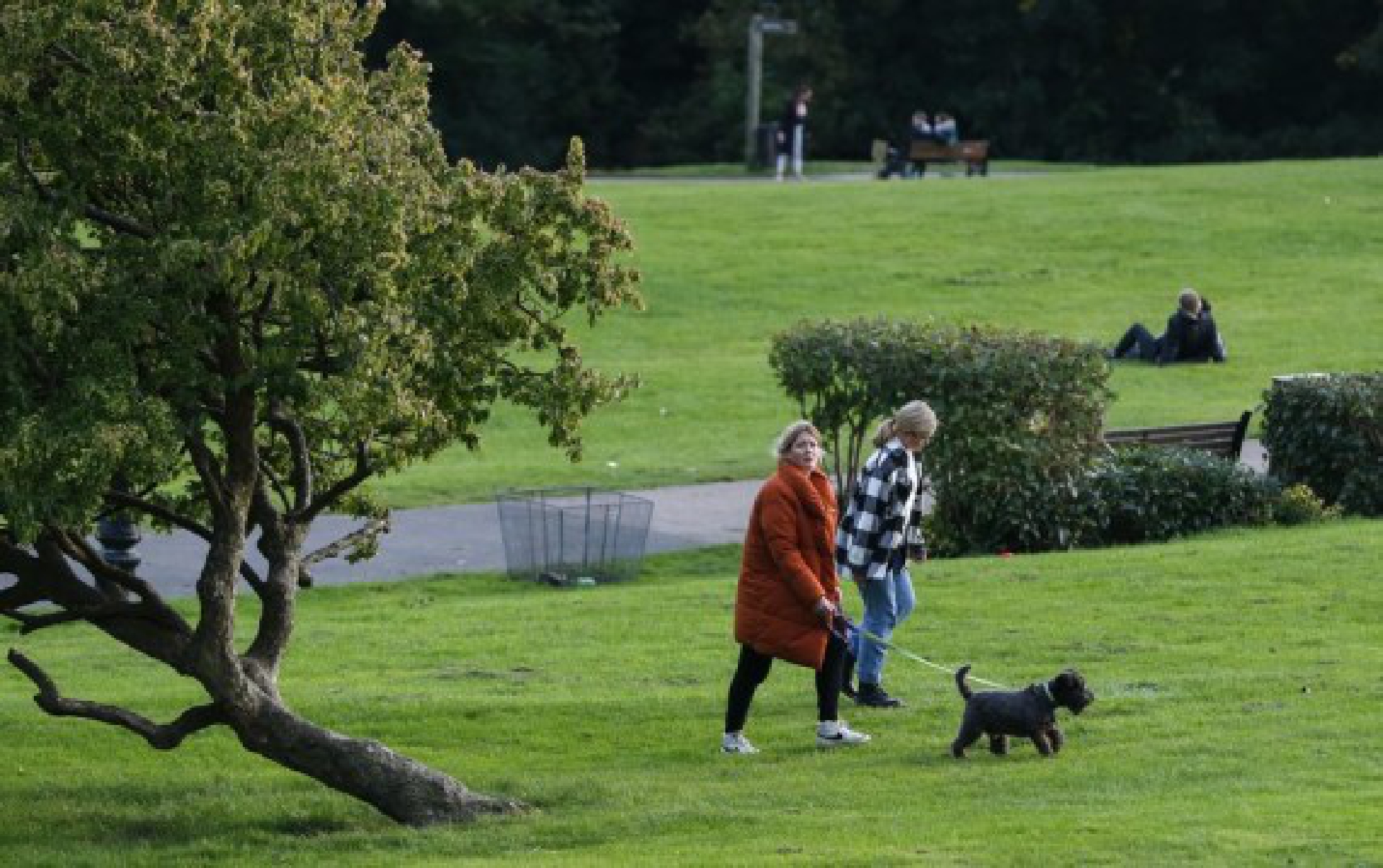 People walk on a lawn in London, Britain, Oct. 17, 2021.(Xinhua/Han Yan)