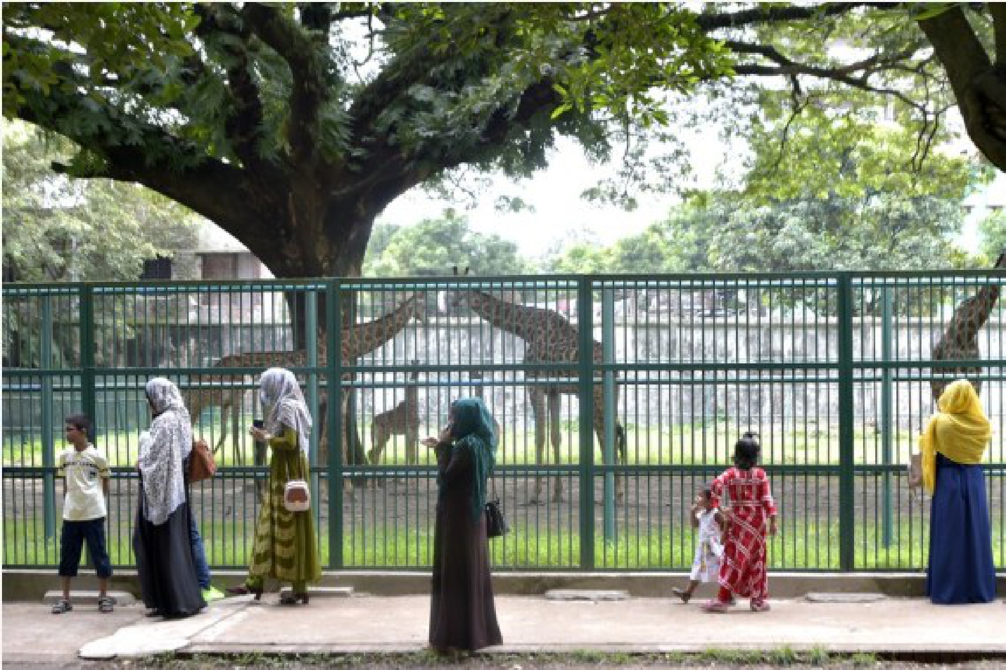 People visit the Bangladesh National Zoo in Dhaka, capital of Bangladesh, on Oct. 3, 2021, the eve of World Animal Day. (Xinhua)