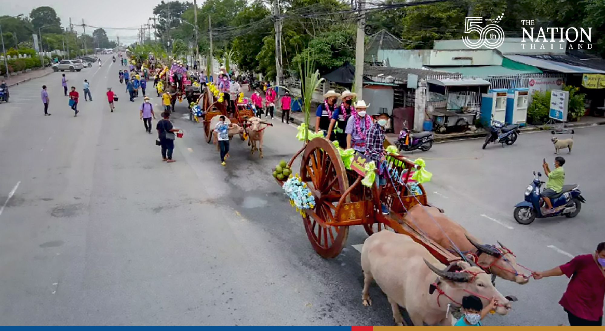 Chonburi cancels buffalo racing but maintains procession event of the festival