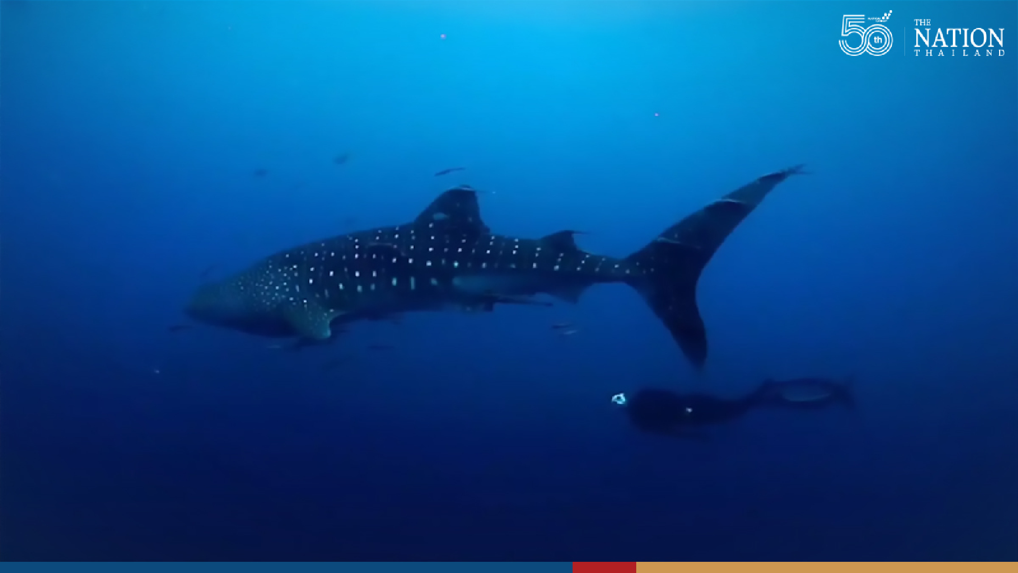 Photo by Pawit Ninyanimit