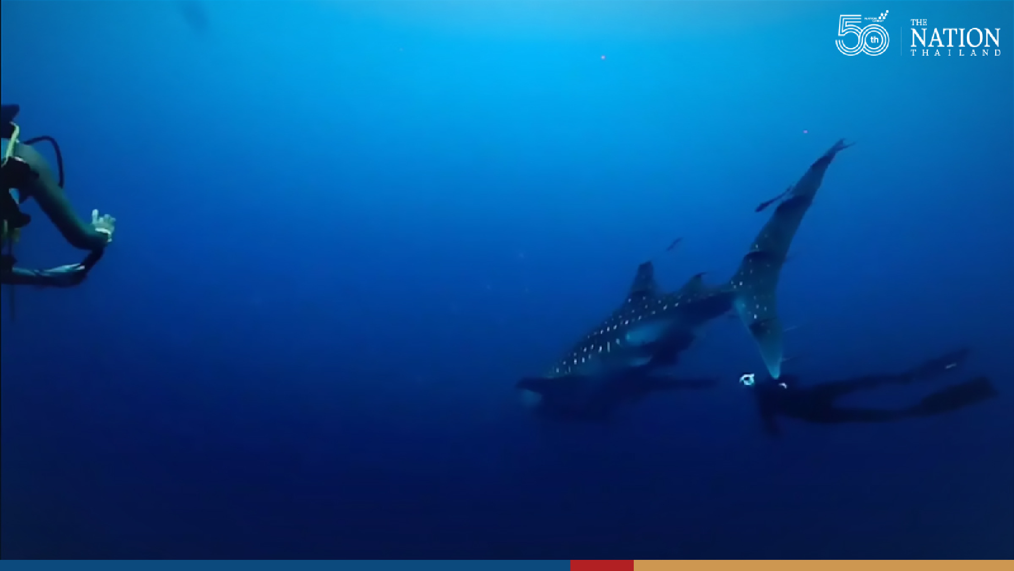 Photo by Pawit Ninyanimit