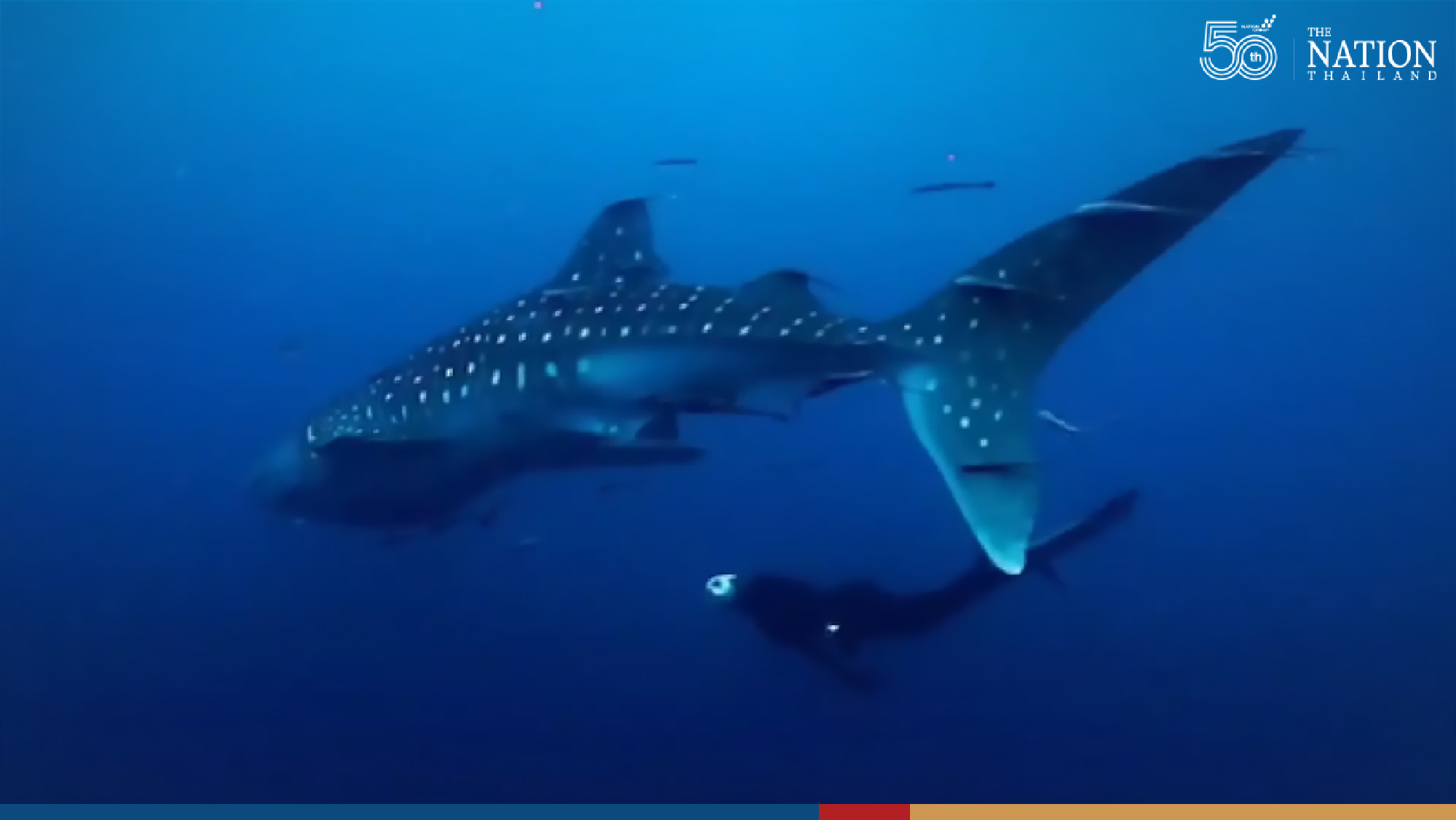 Photo by Pawit Ninyanimit