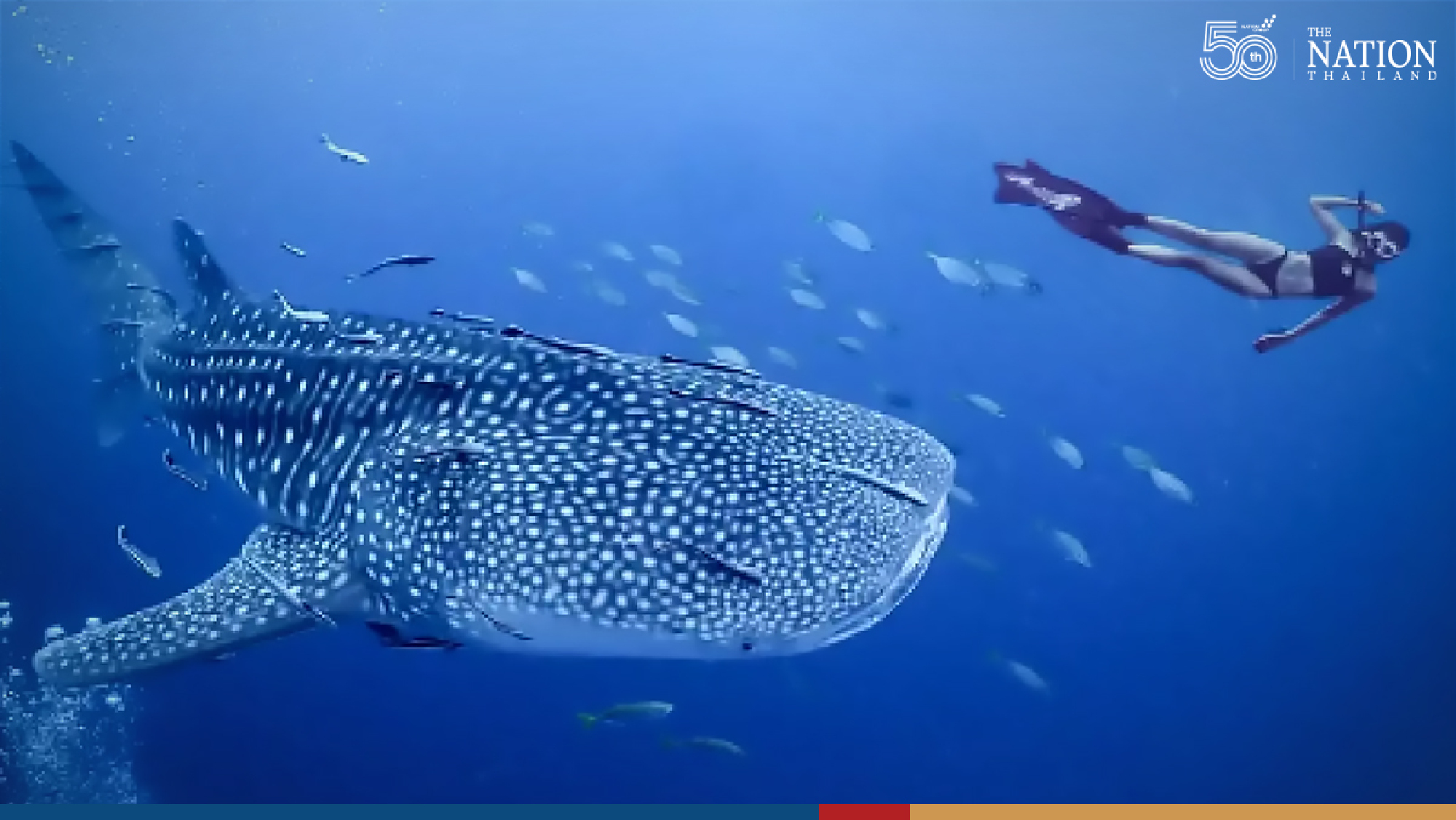 Photo by Pawit Ninyanimit