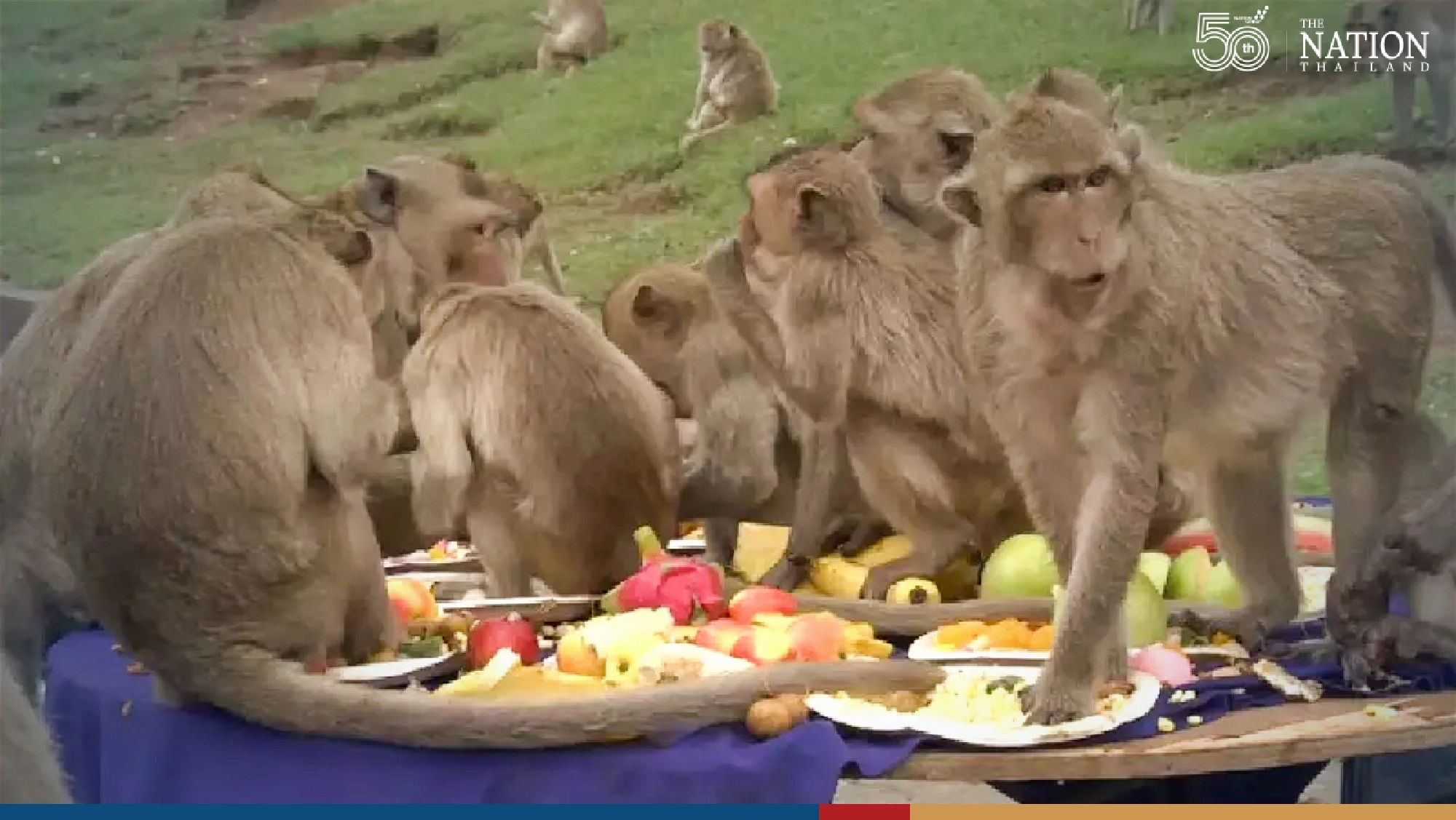 Huge discounts and monkey parties: Thailand’s secondary provinces rev up for post-Covid era