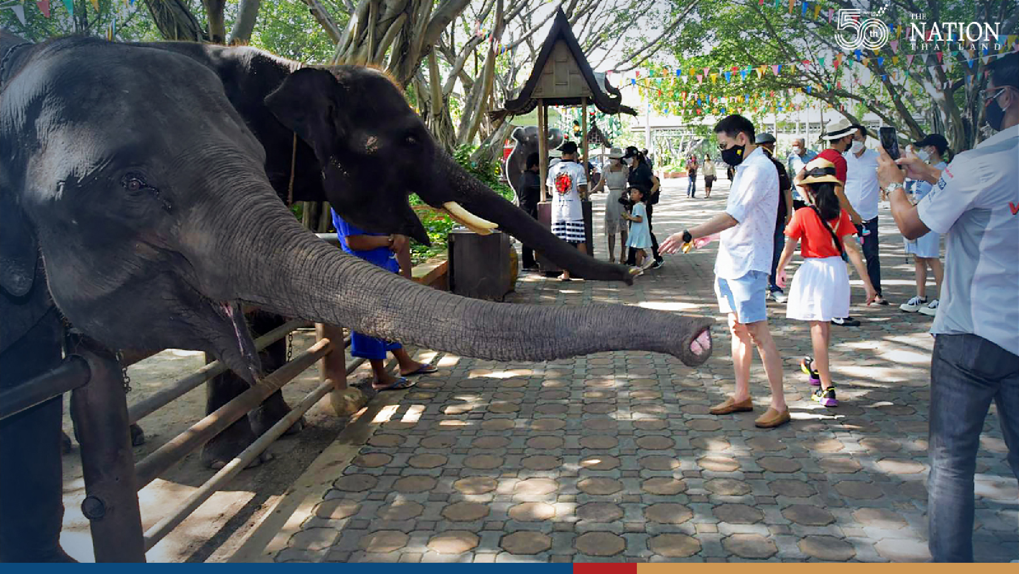 Vintage car caravan gives Bangkok a glimpse of the past