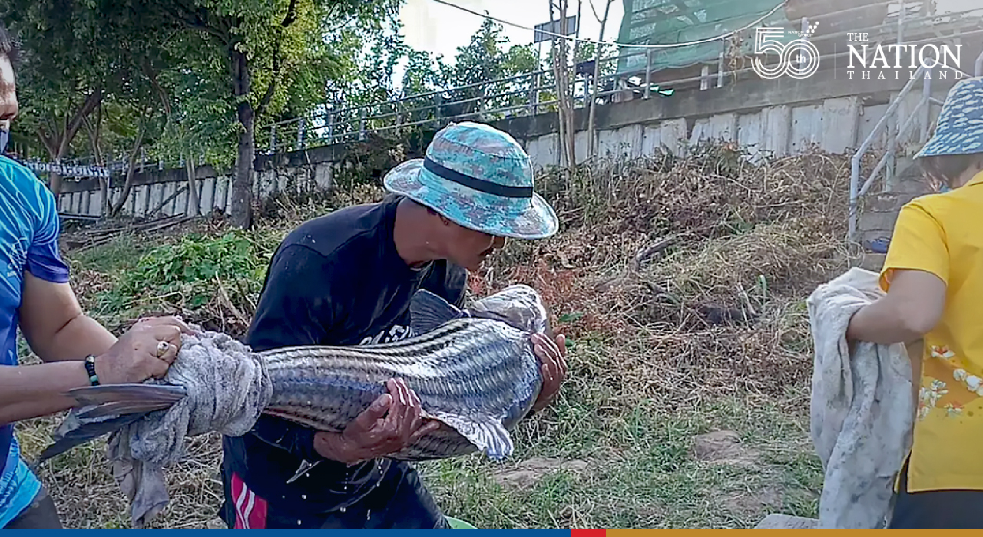 Mukdahan locals snag big rare carp