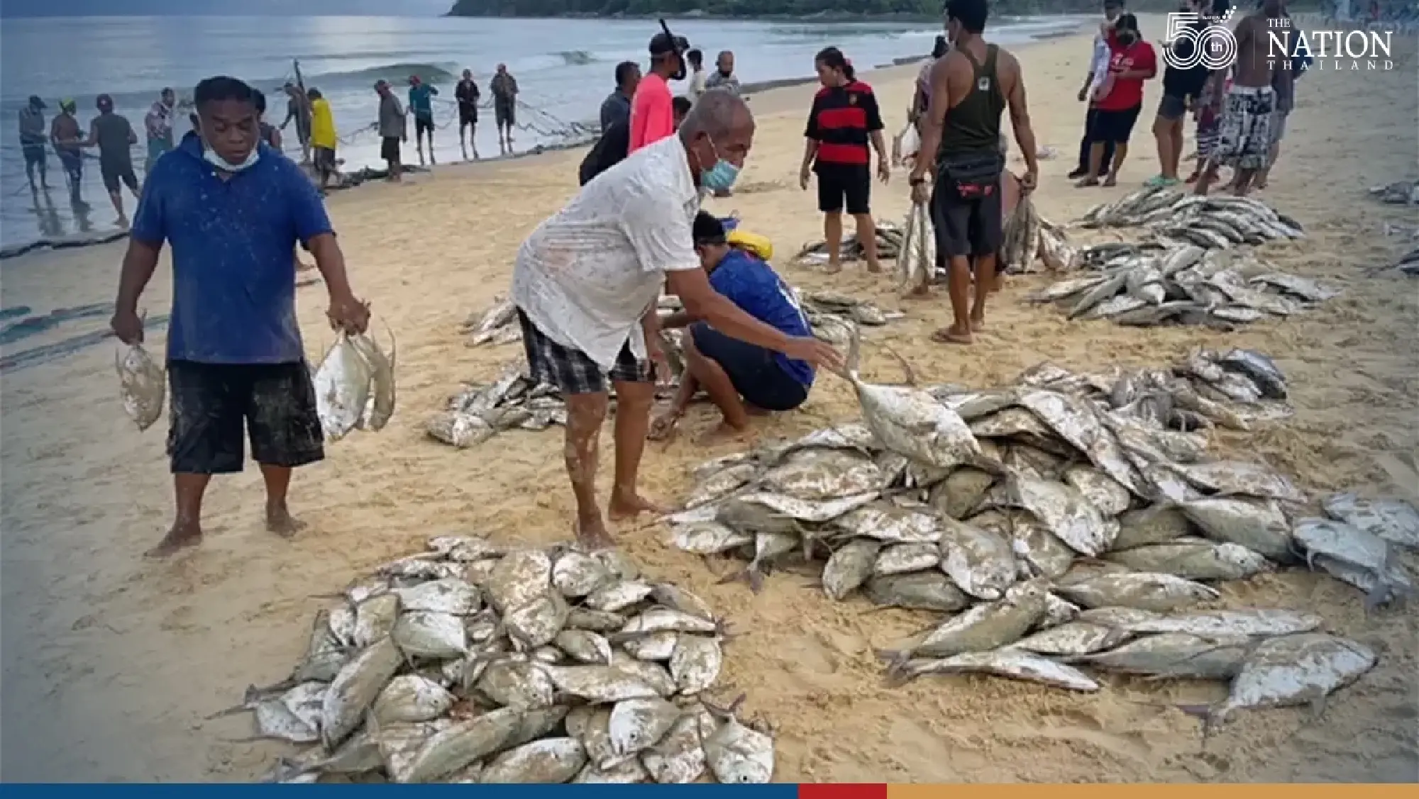 Ebbing tide leaves behind a bounty for Phuket