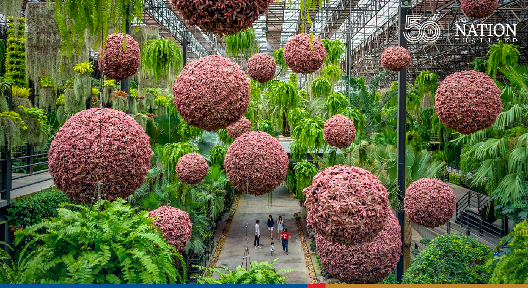 Special ‘buy one get one’ promotion at Nong Nooch from Nov 16