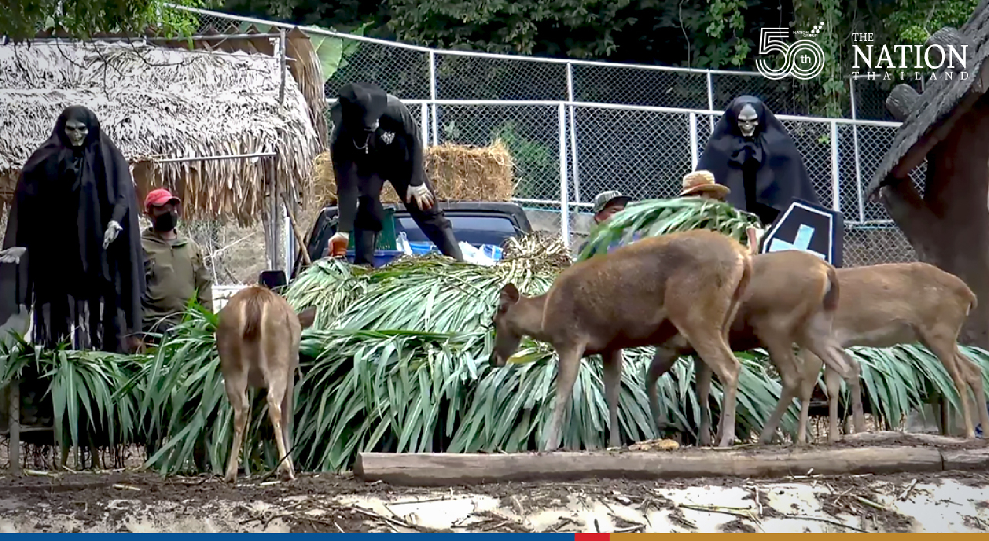 Songkhla Zoo plays devil’s advocate on Halloween