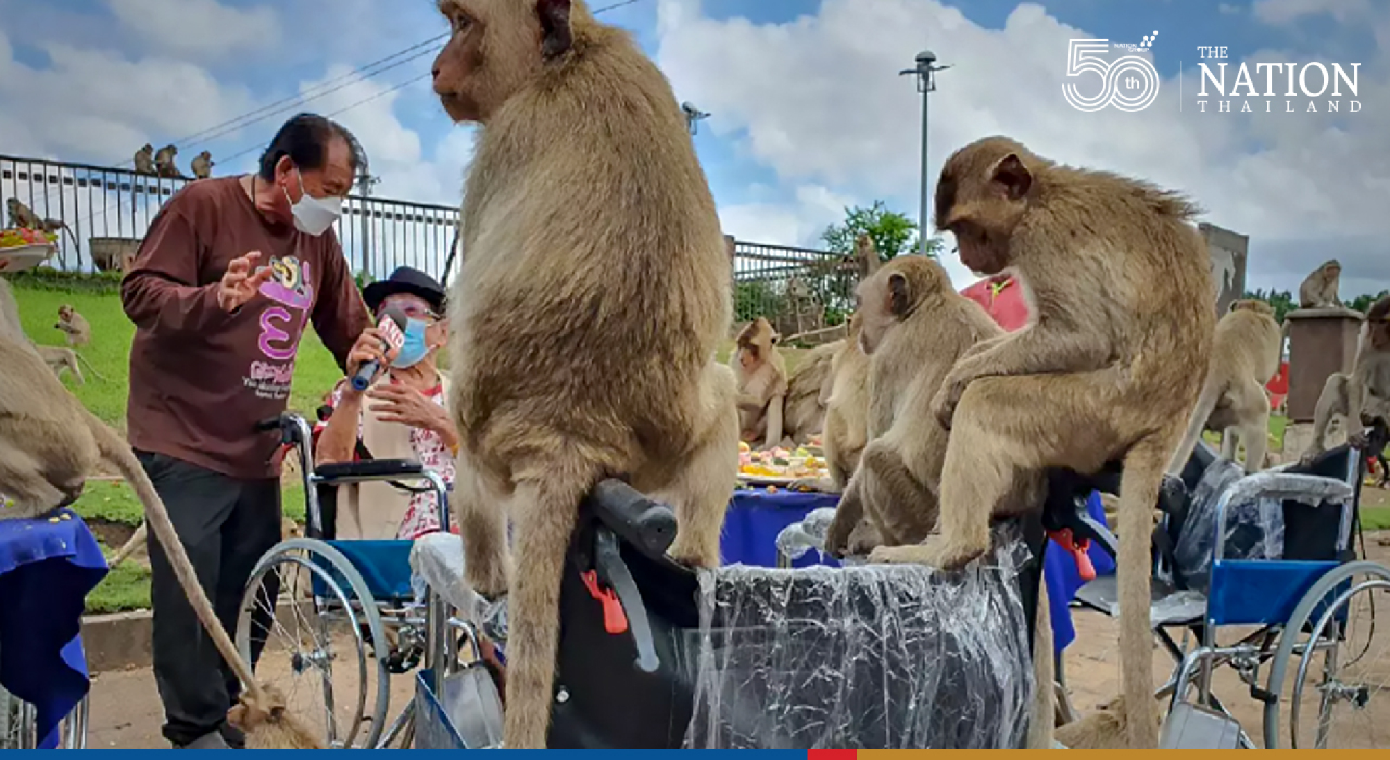 Lopburi gets ready to throw a huge party for its monkey population