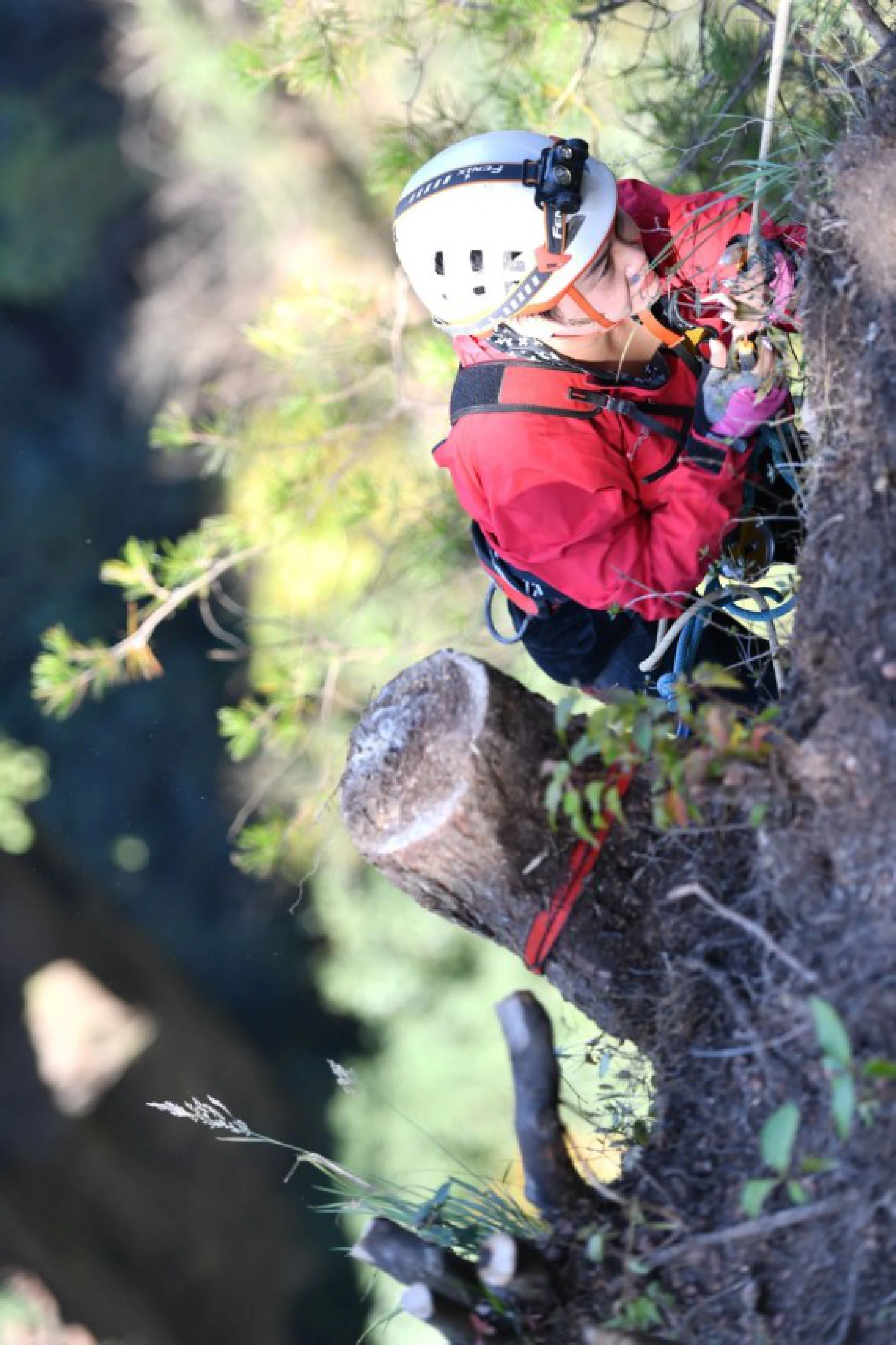 An emergency rescue team member rappels down a cliff to collect litters during an emergency drill at Huangshizhai Village of Wulingyuan, Zhangjiajie, central China's Hunan Province, Nov. 10, 2021. (Xinhua/Zhao Zhongzhi)