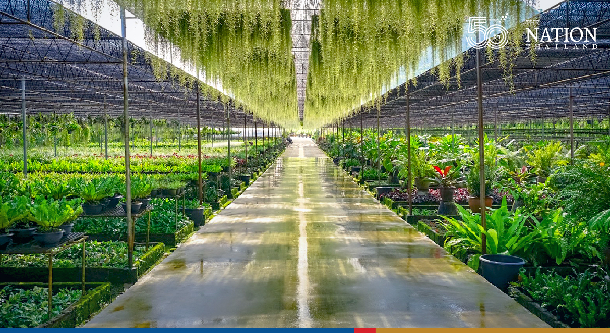 Special ‘buy one get one’ promotion at Nong Nooch from Nov 16