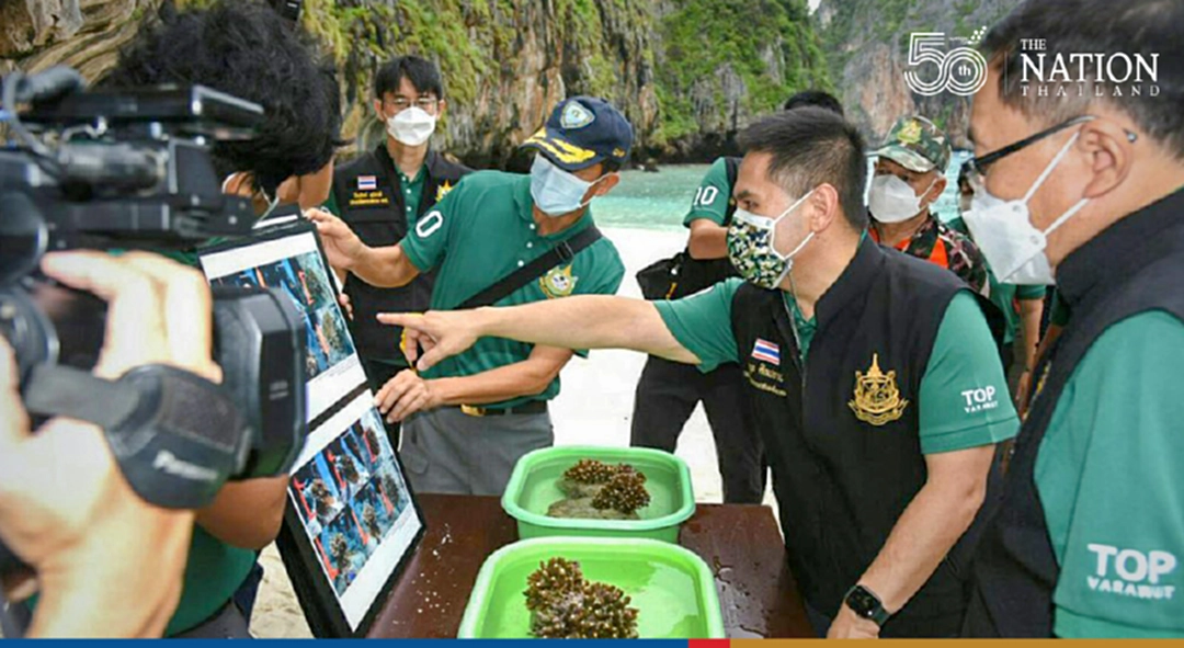 Phi Phis famous Maya Bay to be open to tourists from Jan 1