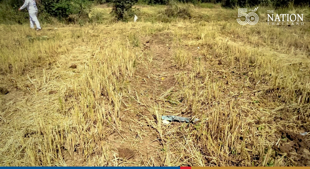 Plane falls from sky in Lopburi, injures bystander